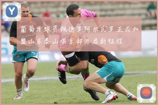葡萄牙球员佩德罗阿尔瓦罗正式加盟山东泰山俱乐部开启新征程